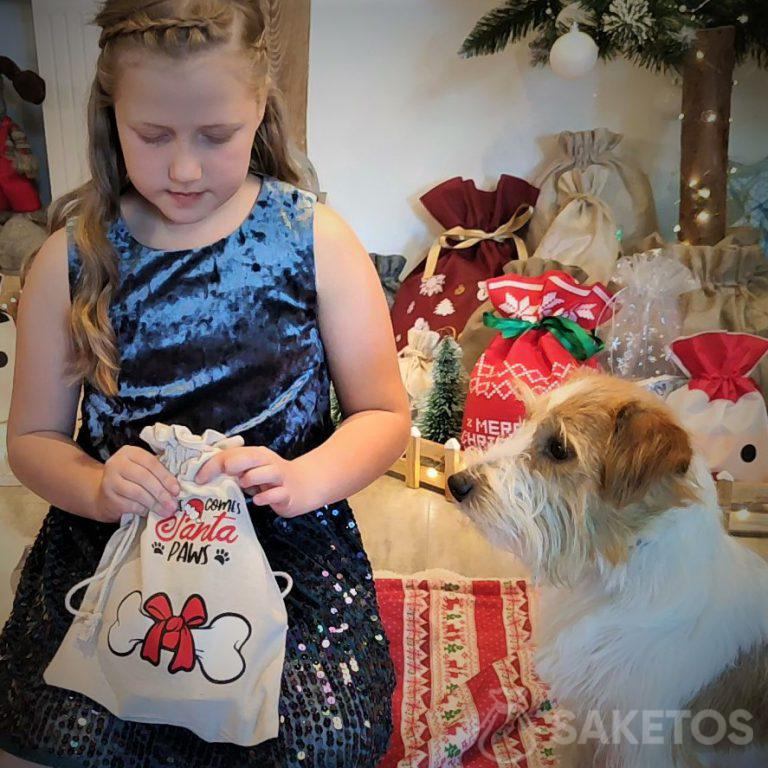 cadeaux et gadgets pour chiens - un sac pour une boîte cadeau pour un animal de compagnie