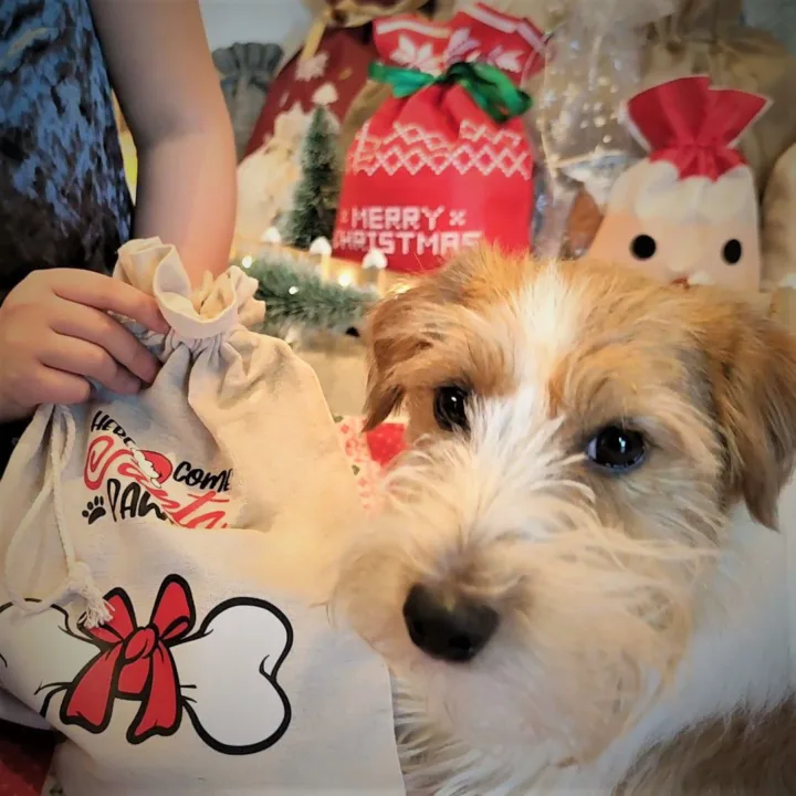 Sacs en lin imité 30 x 40 cm avec imprimé Sac avec impression