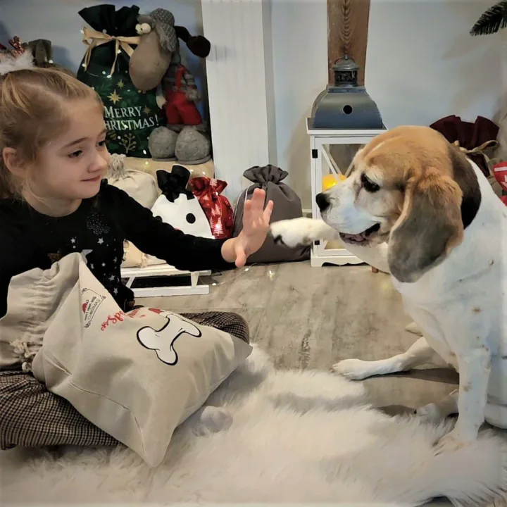 Sacs en lin imité 35 x 50 cm avec imprimé Sac avec impression