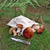Sac en lin imité 22 x 30 cm avec l'impression - pour champignons Lifehack – idées malines