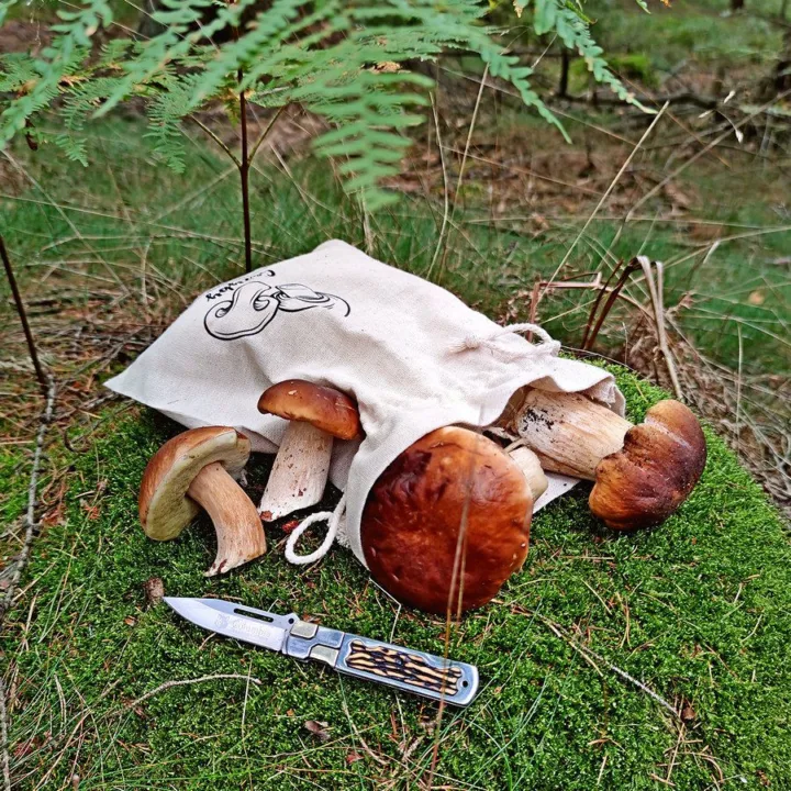 Sac en lin imité 22 x 30 cm avec l'impression - pour champignons Lifehack – idées malines