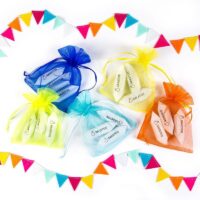 Sachets en organza 12 x 15 cm - mix de couleurs du printemps Sacs multicolores