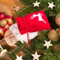 Sachets en velours 10 x 13- Cerf blanc Noël