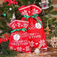 Sacs non tissés 20 x 30 cm avec imprimé de Noël Tous les produits