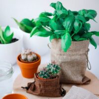 Sacs de jute 10 x 13 cm - naturelle Bougies