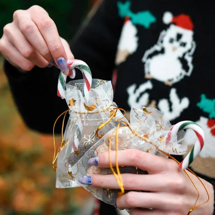 Sacs en organza 12 x 15 cm - Noël / 8 Sacs en organza