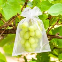 Sacs en organza 22 x 30 cm - blanc Sachets à fruits