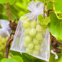 Sacs en organza 26 x 35 cm - blanc Protection du raisin