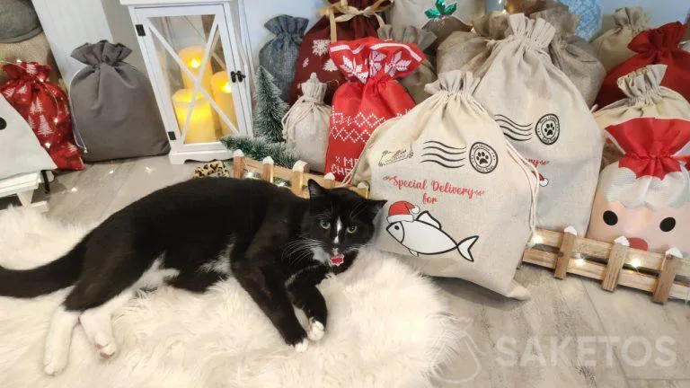 emballages cadeaux pour chiens et chats