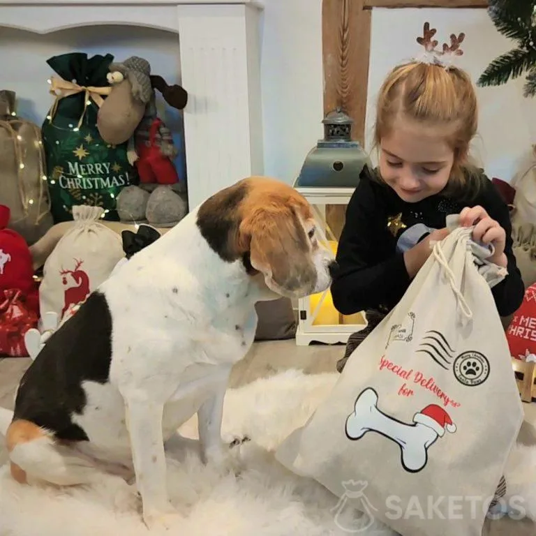 boîte cadeau pour votre animal de compagnie