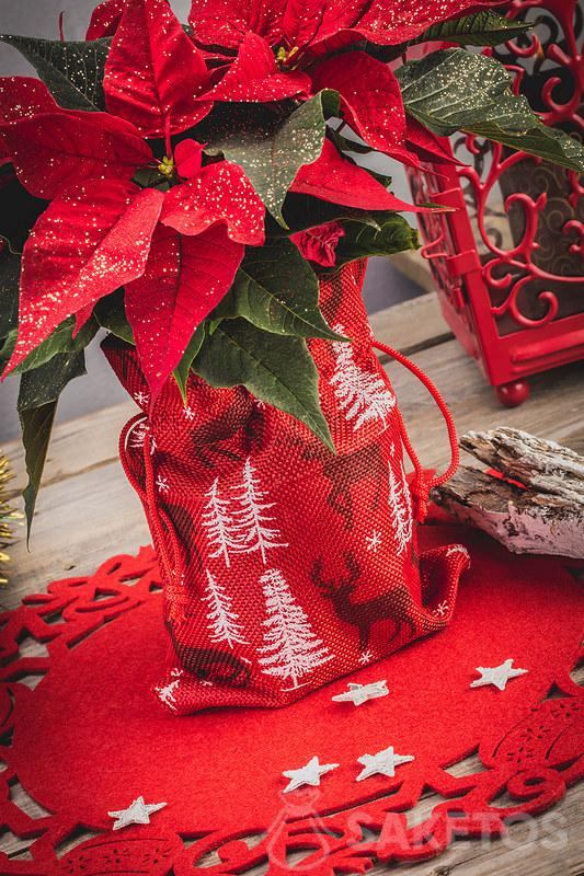 Sachet en jute avec imprimé de Noël utilisé comme cache-pot