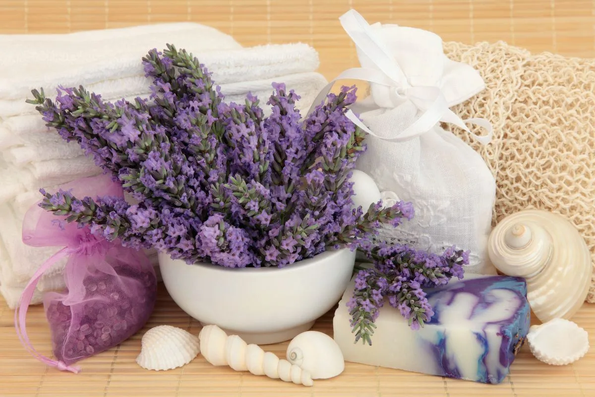 Les cosmétiques de lavande pour un SPA maison