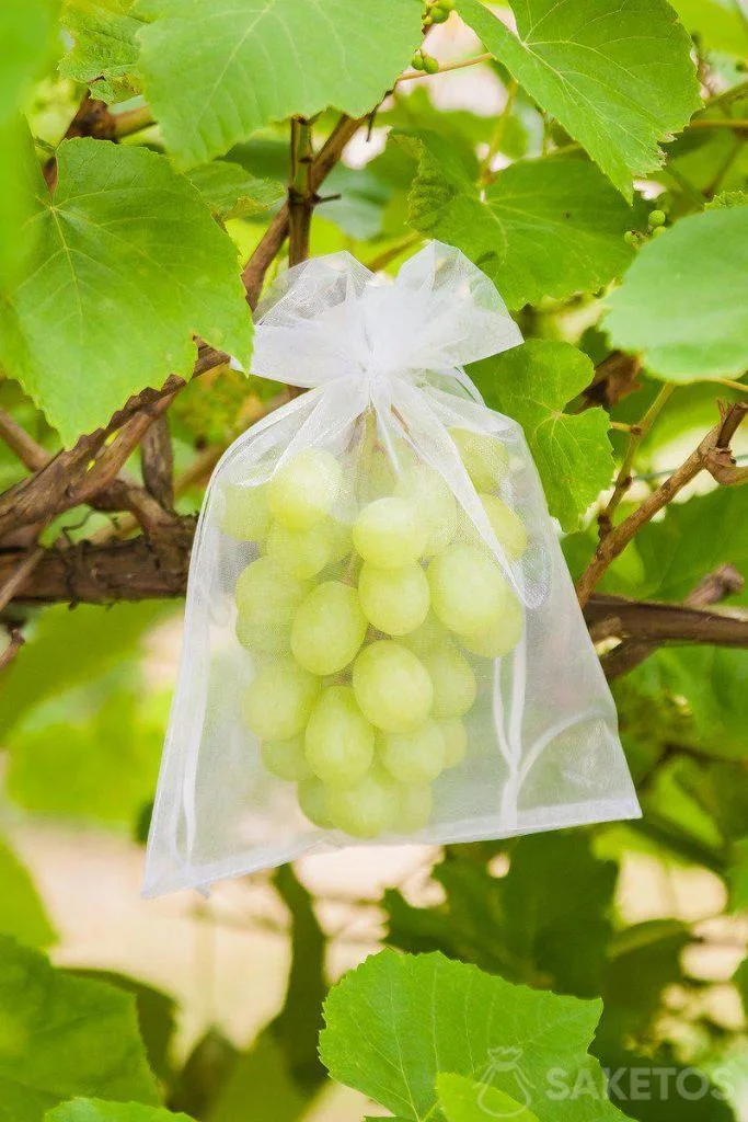 Sacs en organza DIY