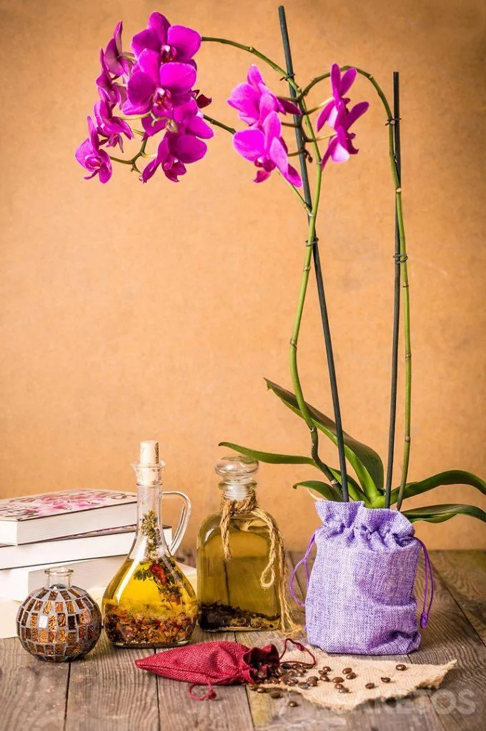 Une orchidée emballée dans un sachet décoratif en toile de jute