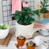 Sachets en lin utilisés comme cache-pot sur un bureau dans un intérieur domestique